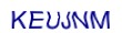 simple_captcha.jpg